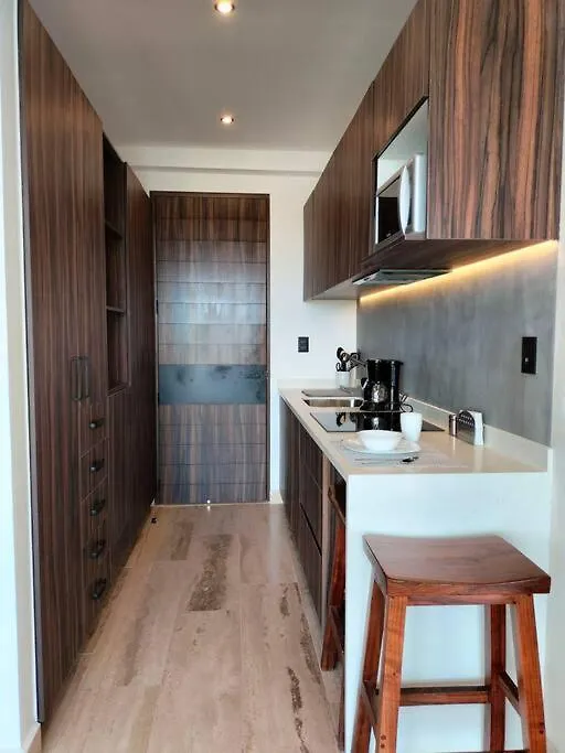 Appartement Excellence Studio Condo For Rent In Palais Tulum P404